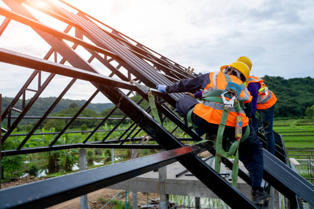 Best Roof Gutter Cleaning  in Shanor Northvue, PA
