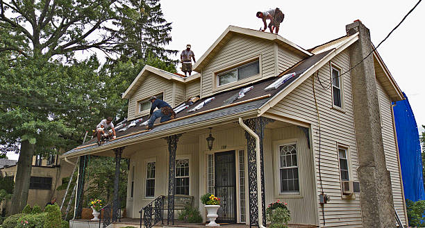 Best Metal Roofing Contractor  in Shanor Northvue, PA